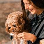 Dog-friendly cafes on the Gold Coast