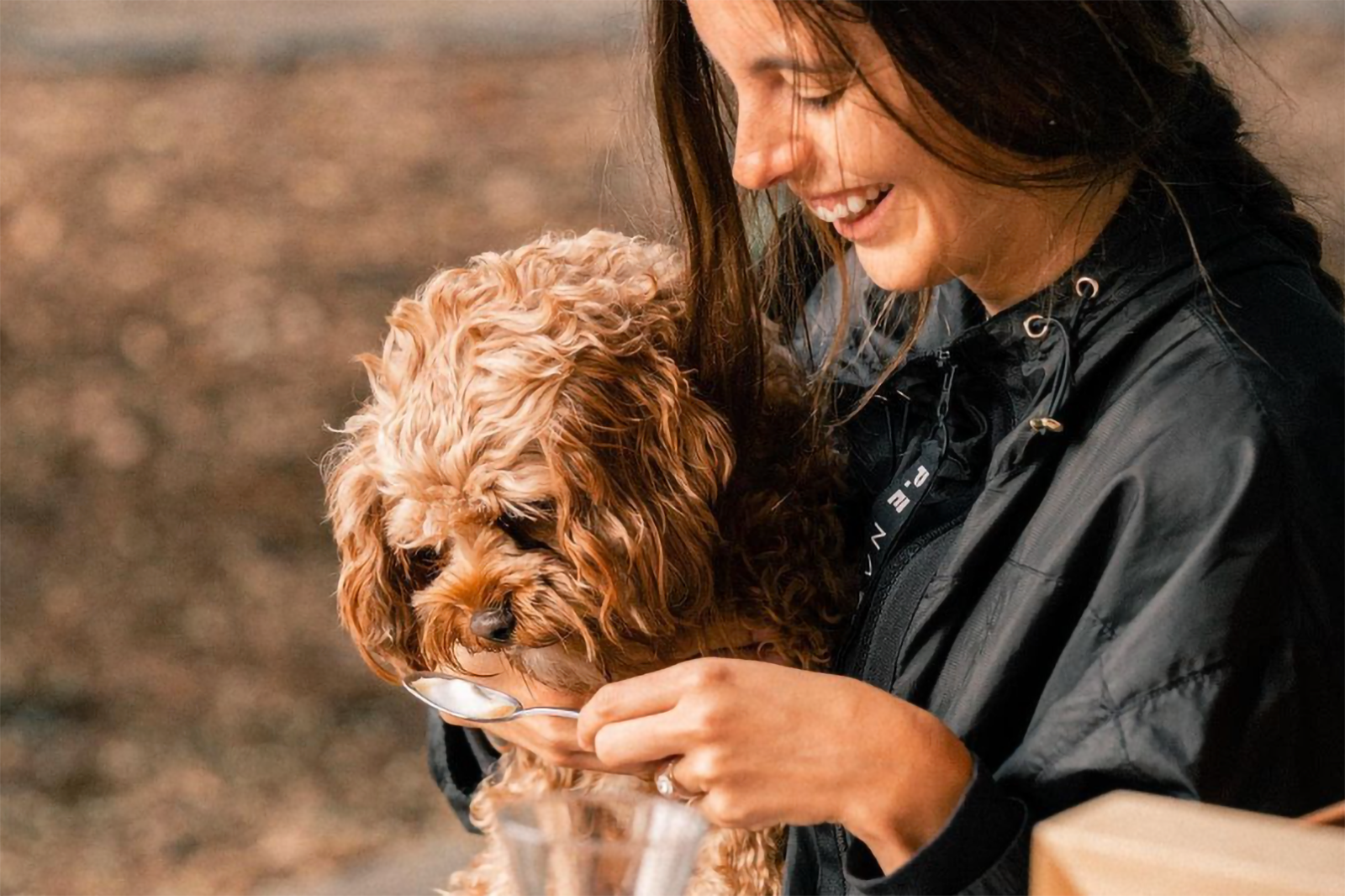 The top dog-friendly cafes