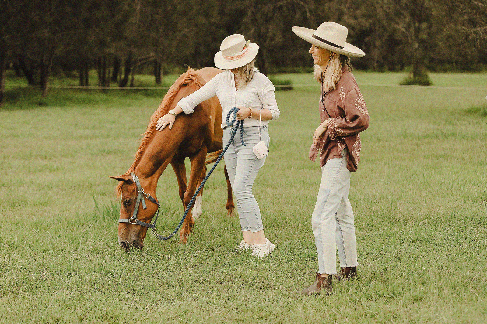 What on earth is equine therapy?