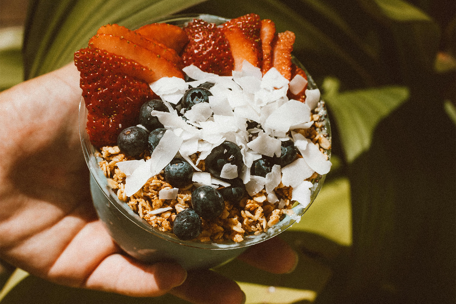 The scout six: The best acai bowls on the Gold Coast