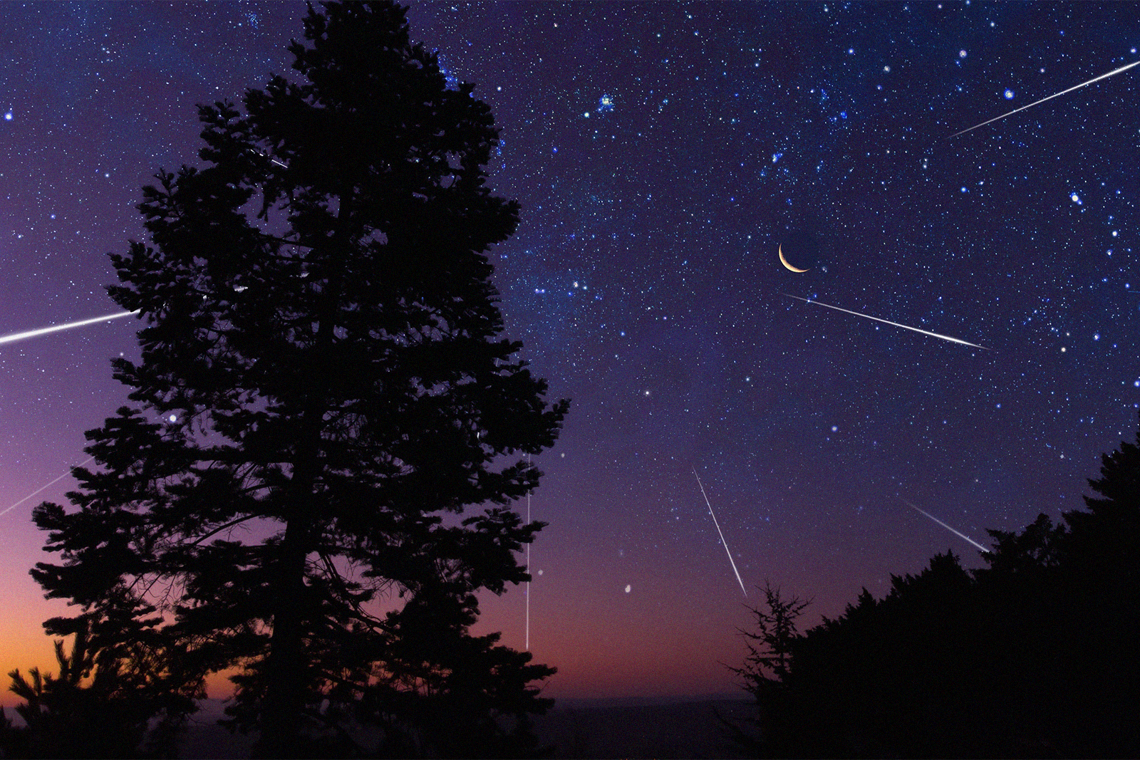 Eyes on the sky: How to watch the Perseid Meteor Shower